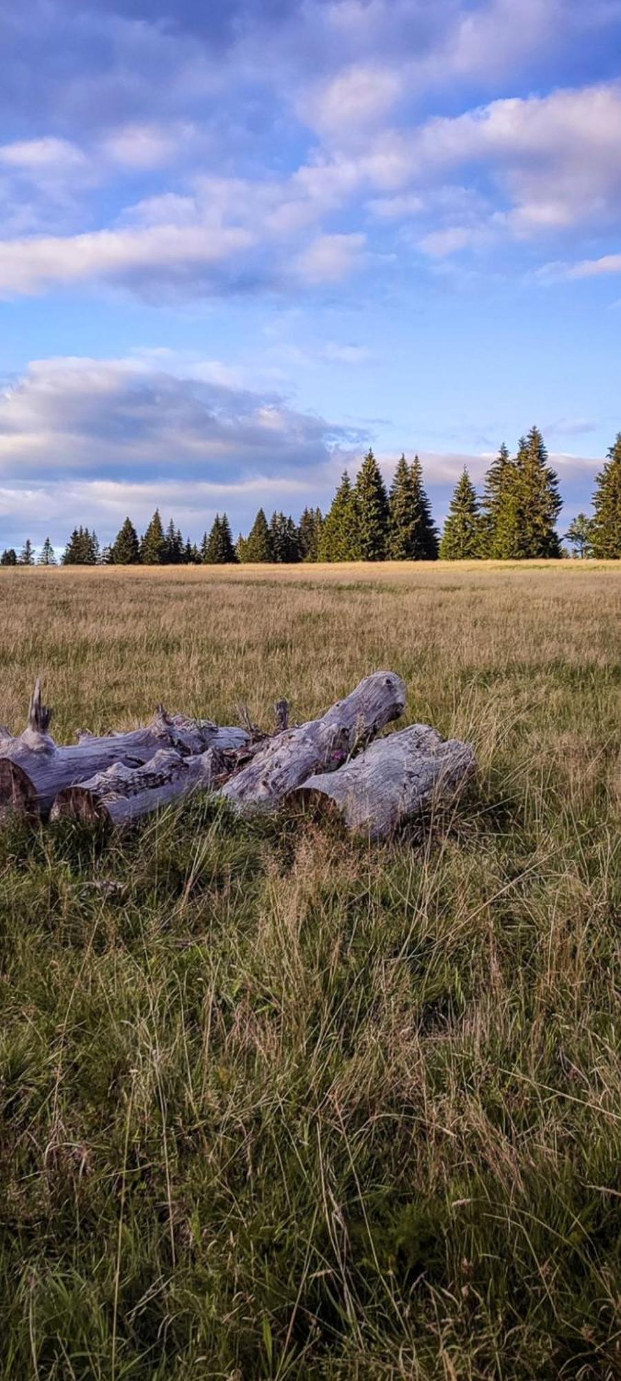 Restaurace A Penzion Vlci Jama Horní Blatná エクステリア 写真
